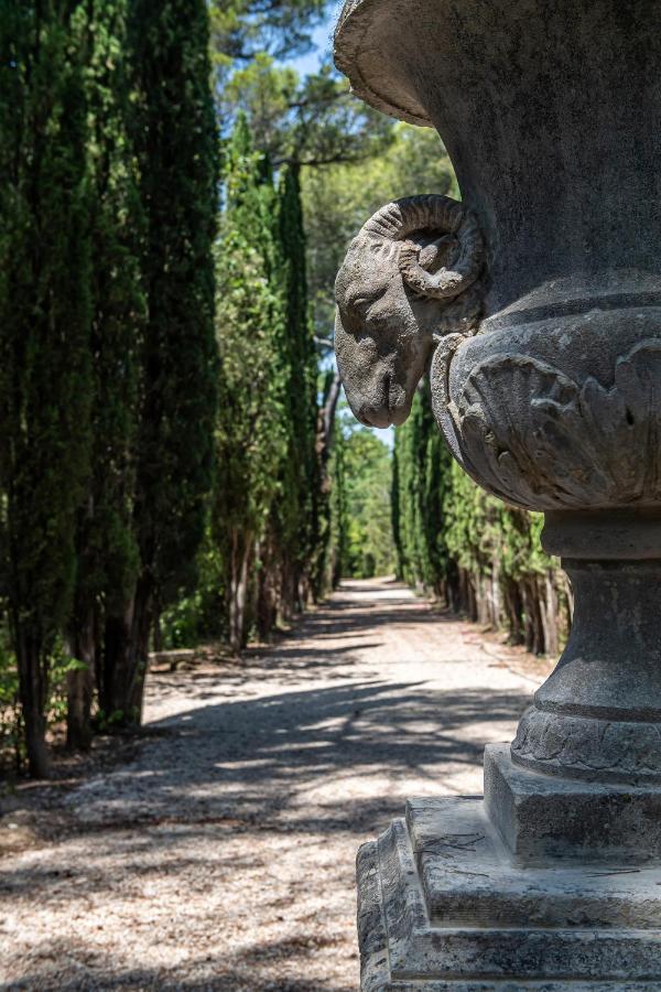 Chateau Martinay Otel Carpentras Dış mekan fotoğraf